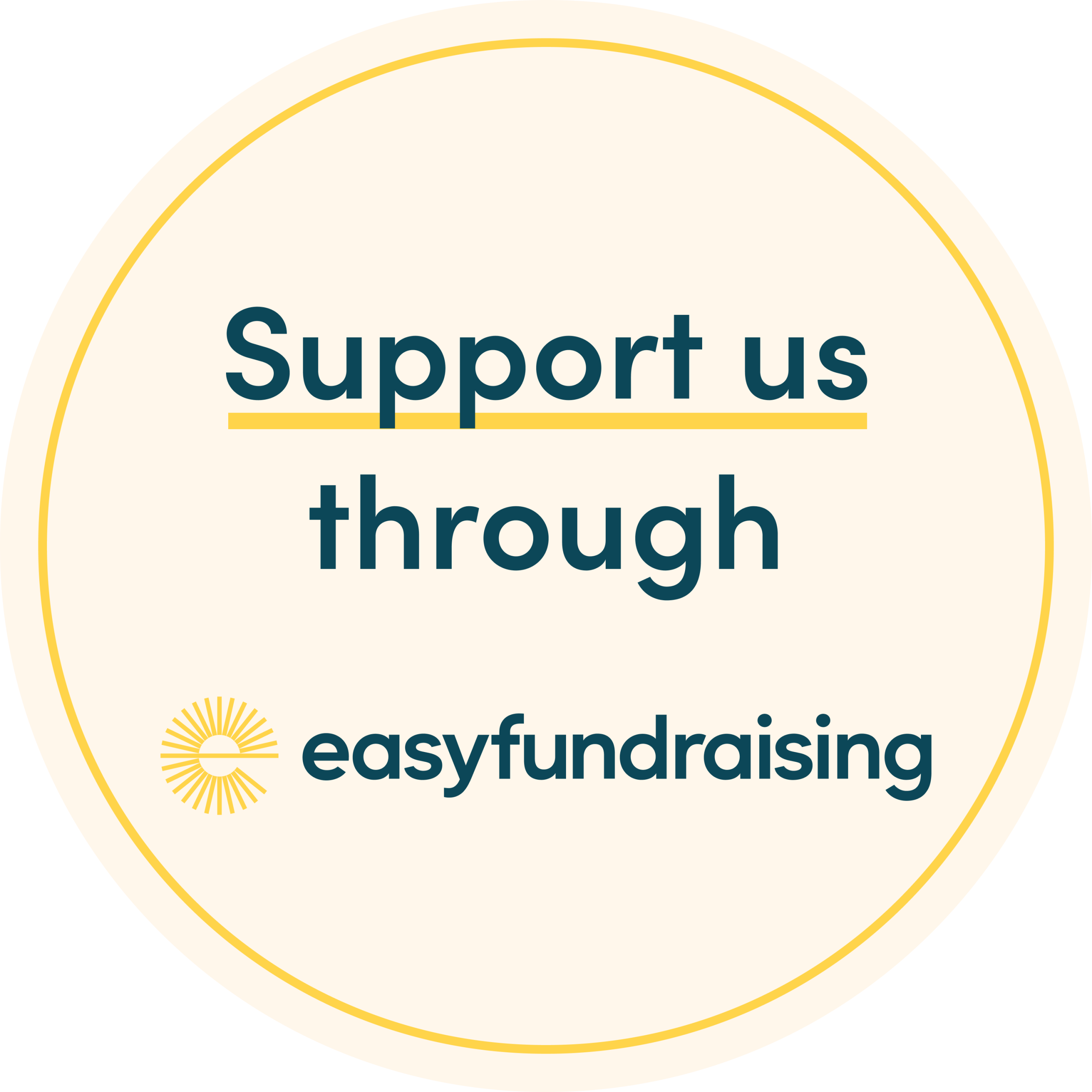 Easy fundraising logo